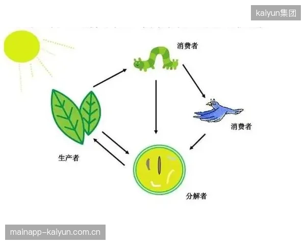协作方吸纳中小内容生产者加入 落地周期丰富供给生态